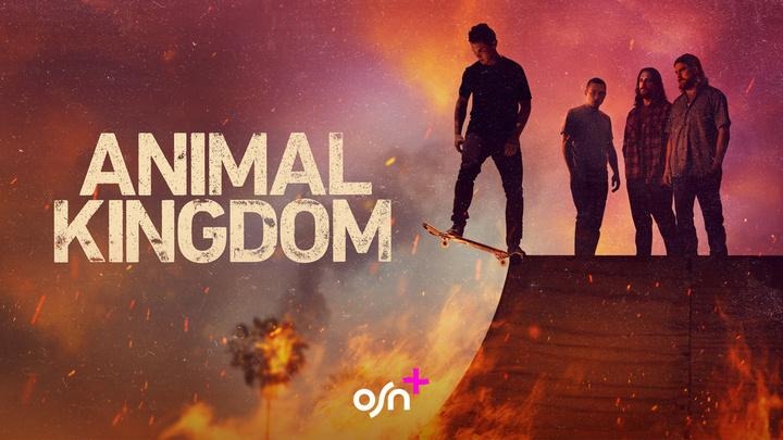 A person on a skateboard

AI-generated content may be incorrect.