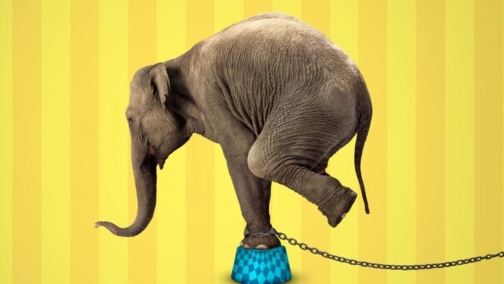 1734092550476 i3508189628798665648