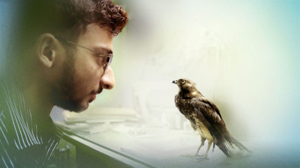 allthatbreathes poster24714404728373888838