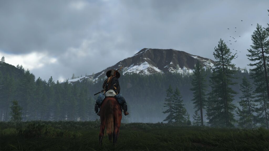 1a15038b3e579 screenshotUrl